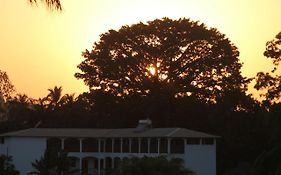 Casa Motel